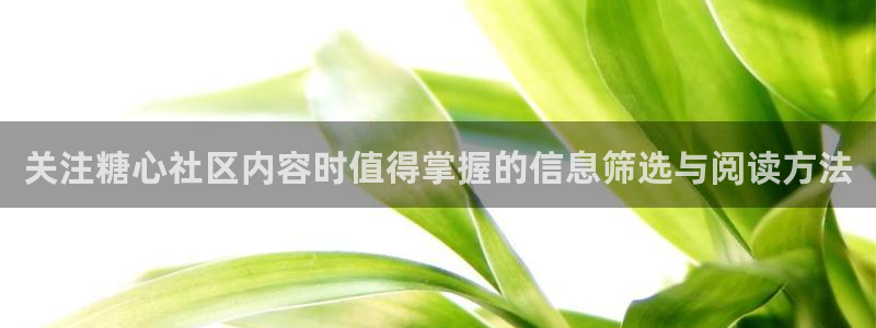 糖心视频在线观看