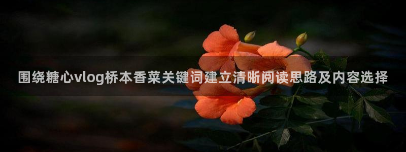 糖心vlog记录