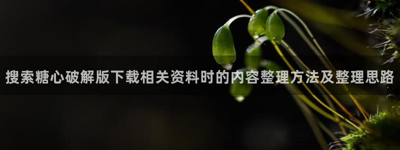 糖心vlog苏小涵：搜索糖心破解版下载相关资料时的内容整理方法及整理思路