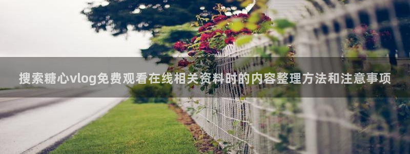 糖心vlog在线观看:搜索糖心vlog免费观看在线相关资料时的内容整理方法和注意事项