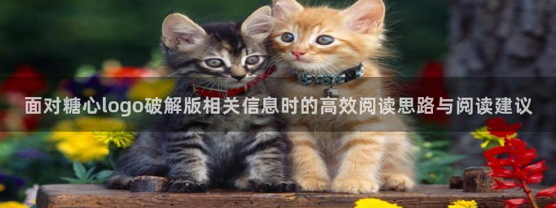 糖心网页：面对糖心logo破解版相关信息时的高效阅读思路与阅读建议