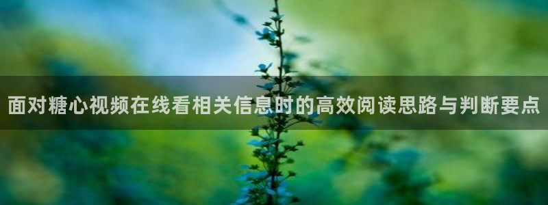 糖心vlog最新视频:面对糖心视频在线看相关信息时的高效阅读思路与判断要点