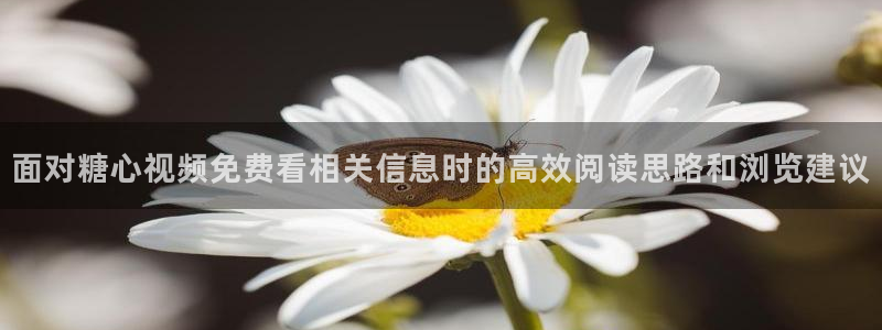 糖心viog最新网站入口:面对糖心视频免费看相关信息时的高效阅读思路和浏览建议