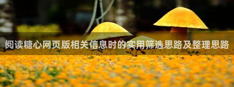 糖心免费网站:阅读糖心网页版相关信息时的实用筛选思路及整理思路