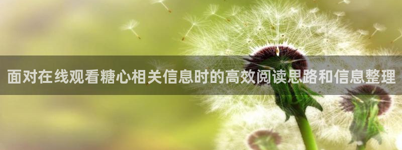 糖心免费看：面对在线观看糖心相关信息时的高效阅读思路和信息整理