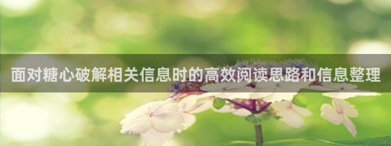 糖心vlog新入口:面对糖心破解相关信息时的高效阅读思路和信息整理